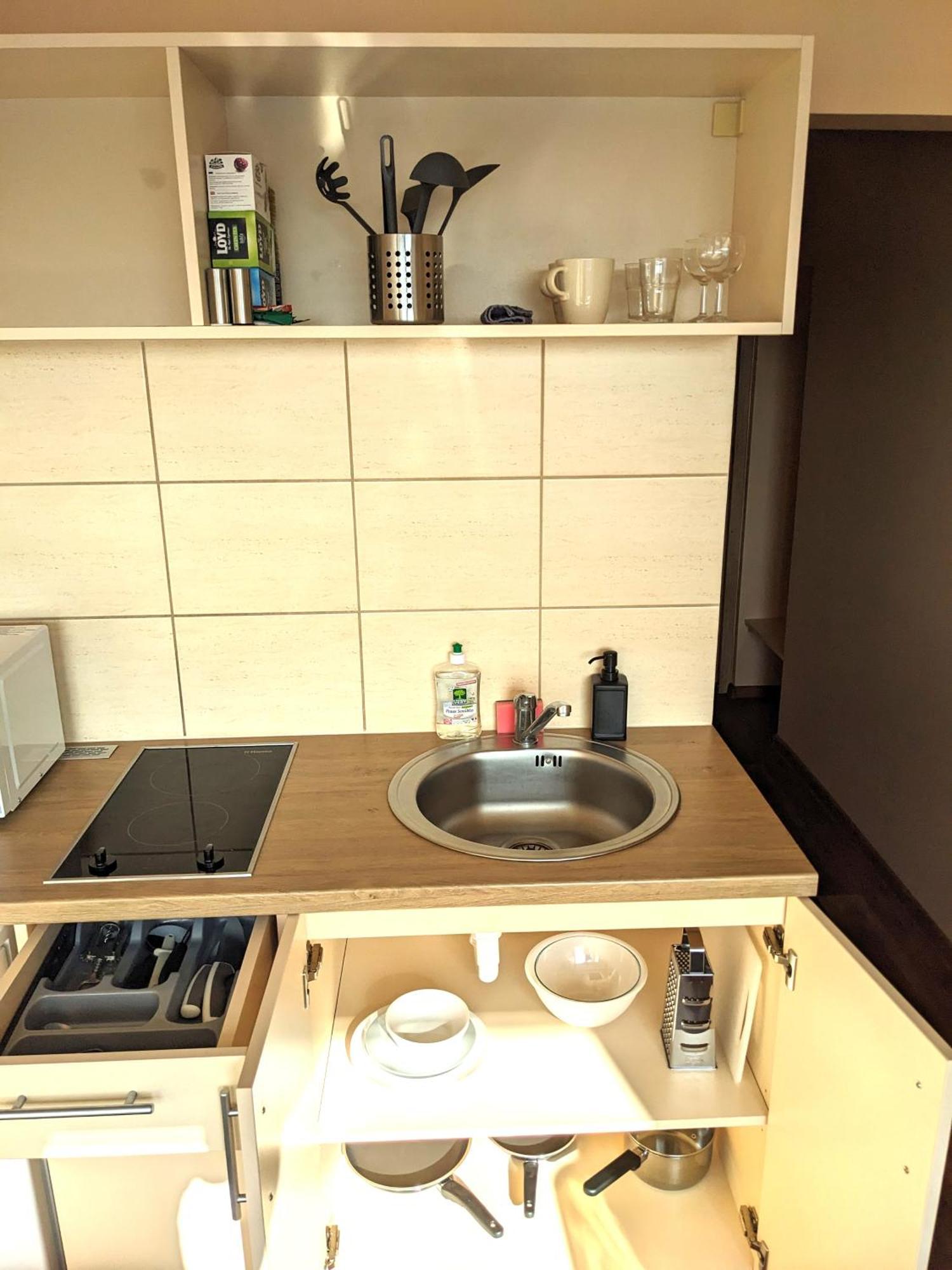 Studio Apartment Каунас Екстер'єр фото